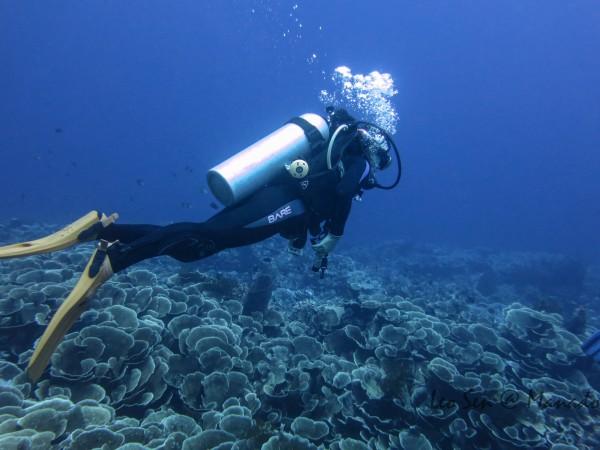 理想汽车推出新春免费车辆检查活动,限量送定制红包礼盒