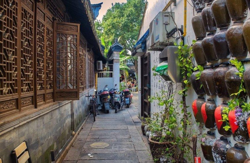 小猪佩奇饲养员